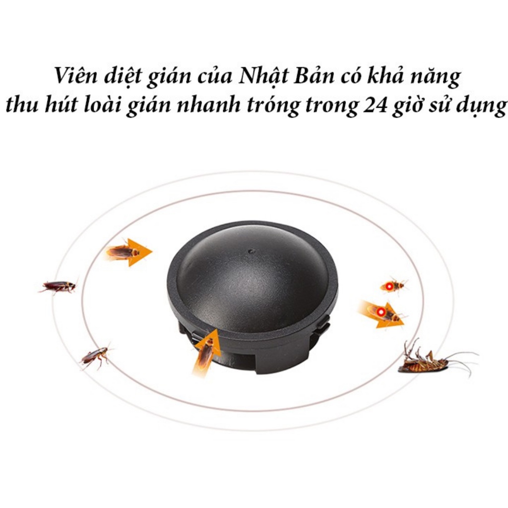 Thuốc diệt gián sinh học không mùi tận gốc 12 viên an toàn hiệu quả cho con người và vật nuôi  DTM Store