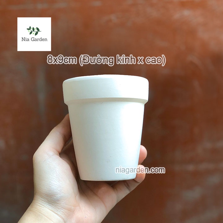 Chậu đất nung ly cao trắng 8 x 9 cm trồng xương rồng nhỏ - N3