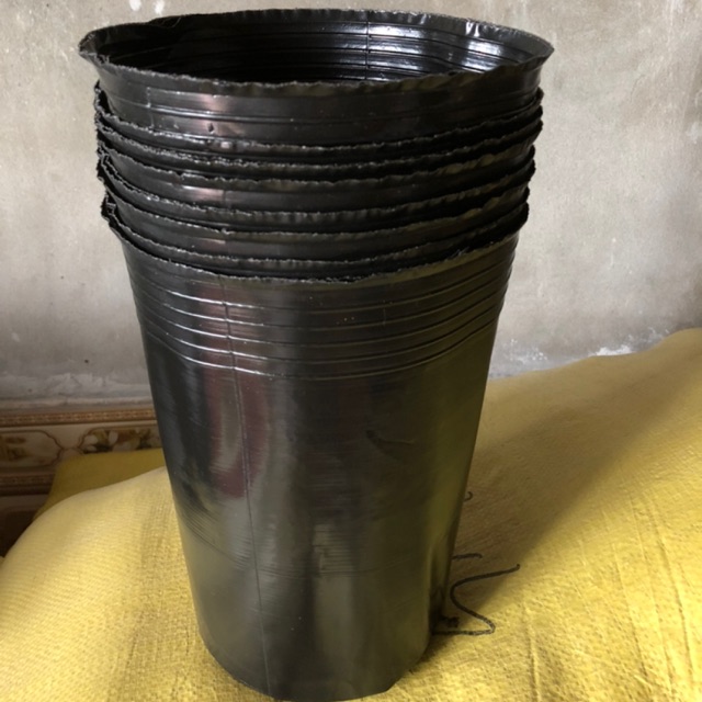 Sét 24 chậu trồng cây sầu riêng( đk miệng 20-cao30- đáy15cm)