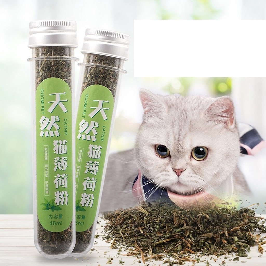 Cỏ Bạc Hà CAT MIN, thức ăn cho mèo.