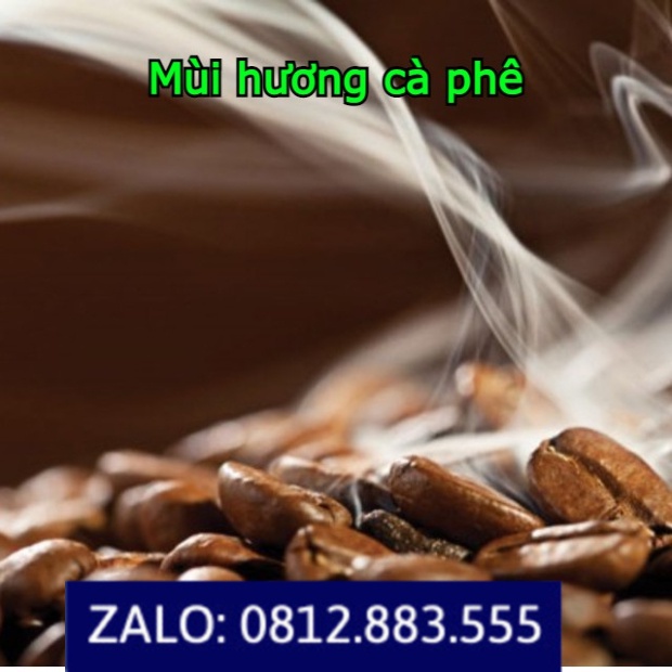 Chai xịt dưỡng bóng bảo vệ da và đồ nội thất Flamingo 500ml F096 - Mùi cà phê