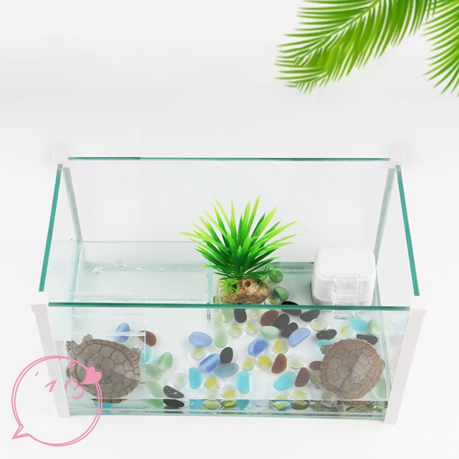 Dụng Cụ Lọc Nước 3 Trong 1 Không Gây Tiếng Ồn Cho Bát Nuôi Rùa