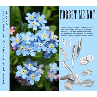 Khuôn vân hoa và khuôn cắt hoa Forget me Not