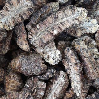 1kg trái nhàu khô