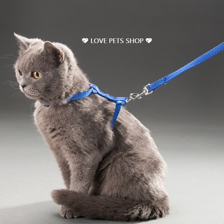 DÂY DẮT MÈO KÈM YẾM &quot;MẪU MỚI&quot; - LOVE PETS SHOP