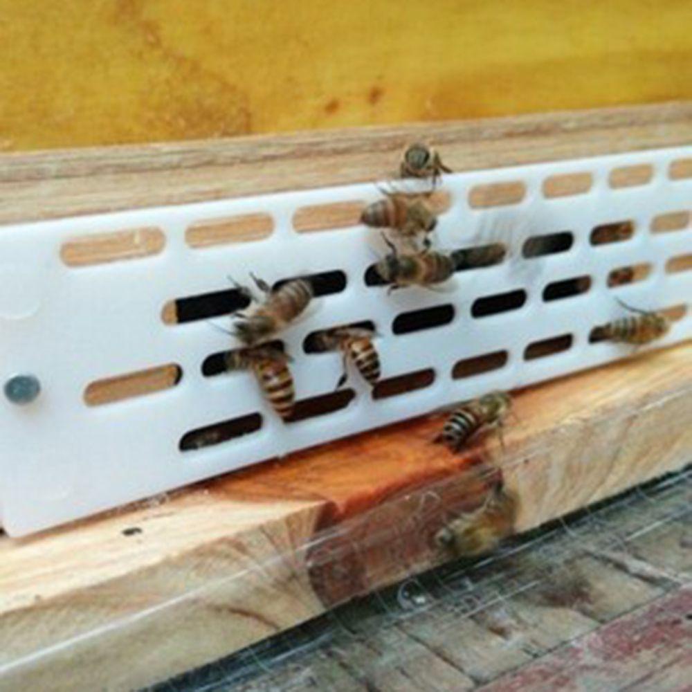 Dụng Cụ Nuôi Ong Chống Thoát Thoát Chuyên Dụng