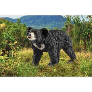 Mô hình Gấu SCHLEICH 14779