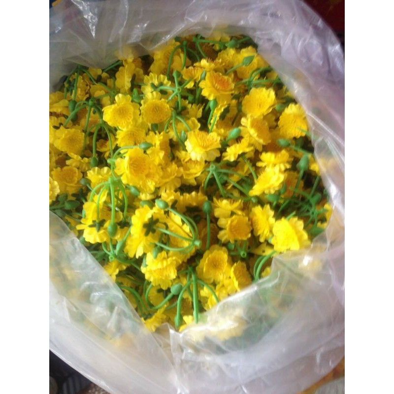 Set 1kg Hoa Mai Đào Chùm Decor nhà cửa Chơi Tết