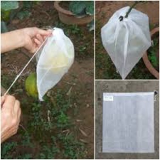 Sét 100 túi bọc bưởi kích thước 25x30cm có dây rút chất liệu vải không dệt