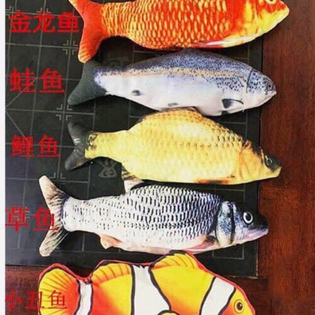 Cá nhảy siêu hót tik tok | BigBuy360 - bigbuy360.vn