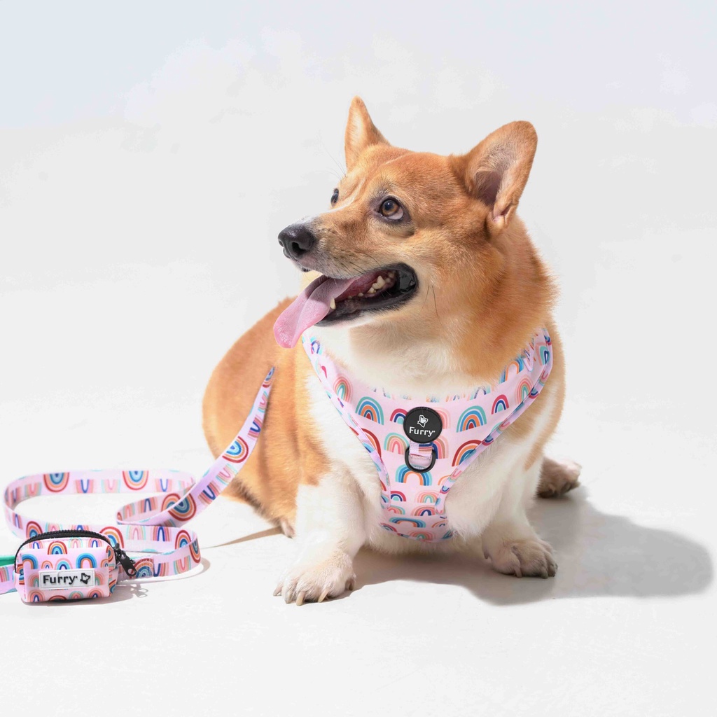 Yếm dắt chó cao cấp Furry êm ái họa tiết xinh xắn RAINING RAINBOWS - Phụ kiện chó mèo