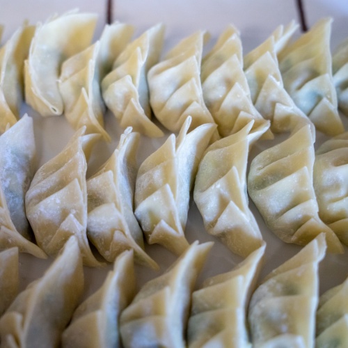 [CHỈ GIAO HCM] Vỏ bánh Há Cảo Gyoza Nhật Bản (24 miếng/gói) [đông lạnh]