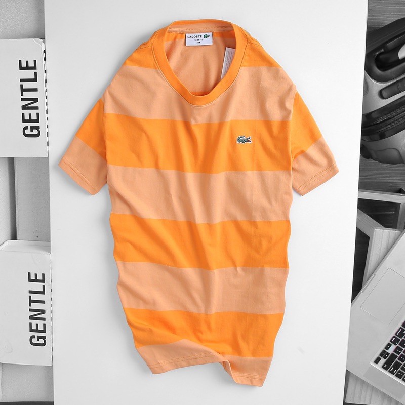 Áo thun lacoste