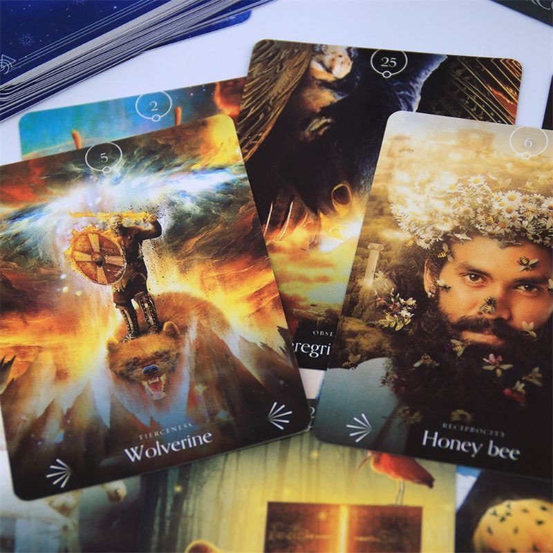 Bộ Tarot Divine Animals Oracle M5 Bài Bói New