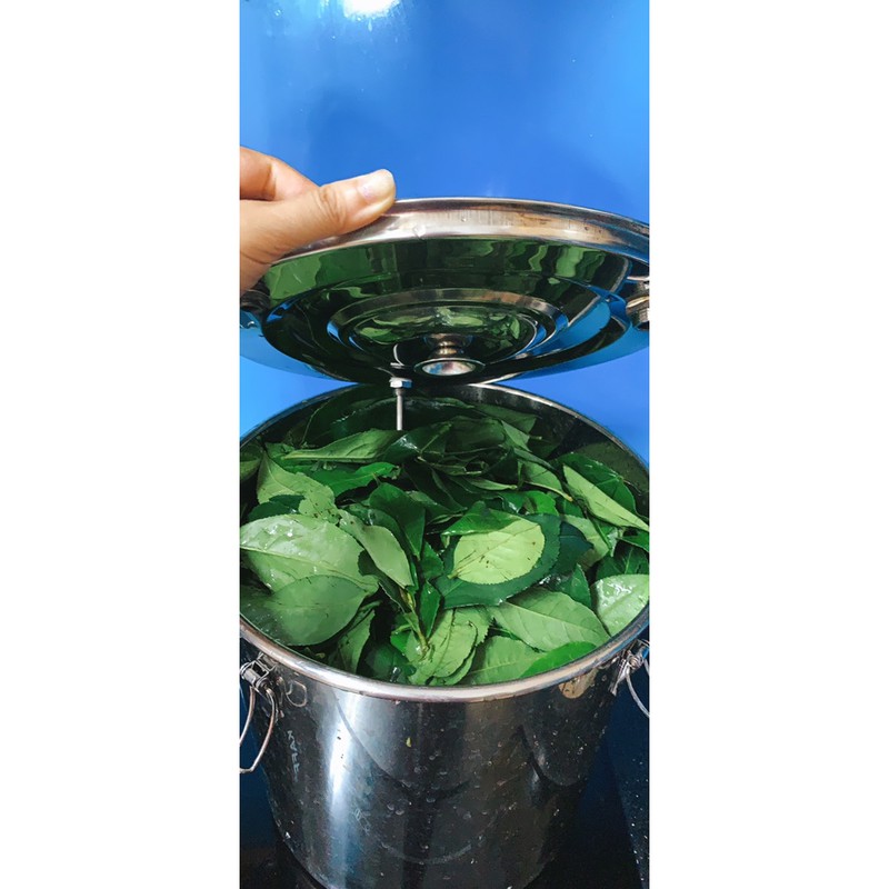 Hydrosol_ Nước cất trà xanh_kiềm dầu_ Hilltown | BigBuy360 - bigbuy360.vn