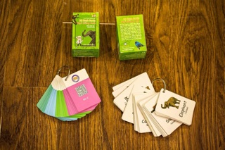 Flashcards học TA