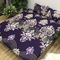 XẢ Chăn hè cotton poly hàn quốc