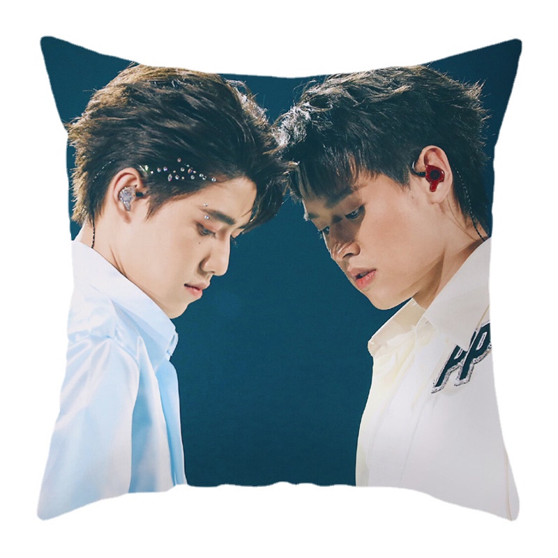 Vỏ Gối Polyester In Hình Billkin Và PP Một Mặt Dùng Trang Trí Nhà Cửa/Xe Hơi