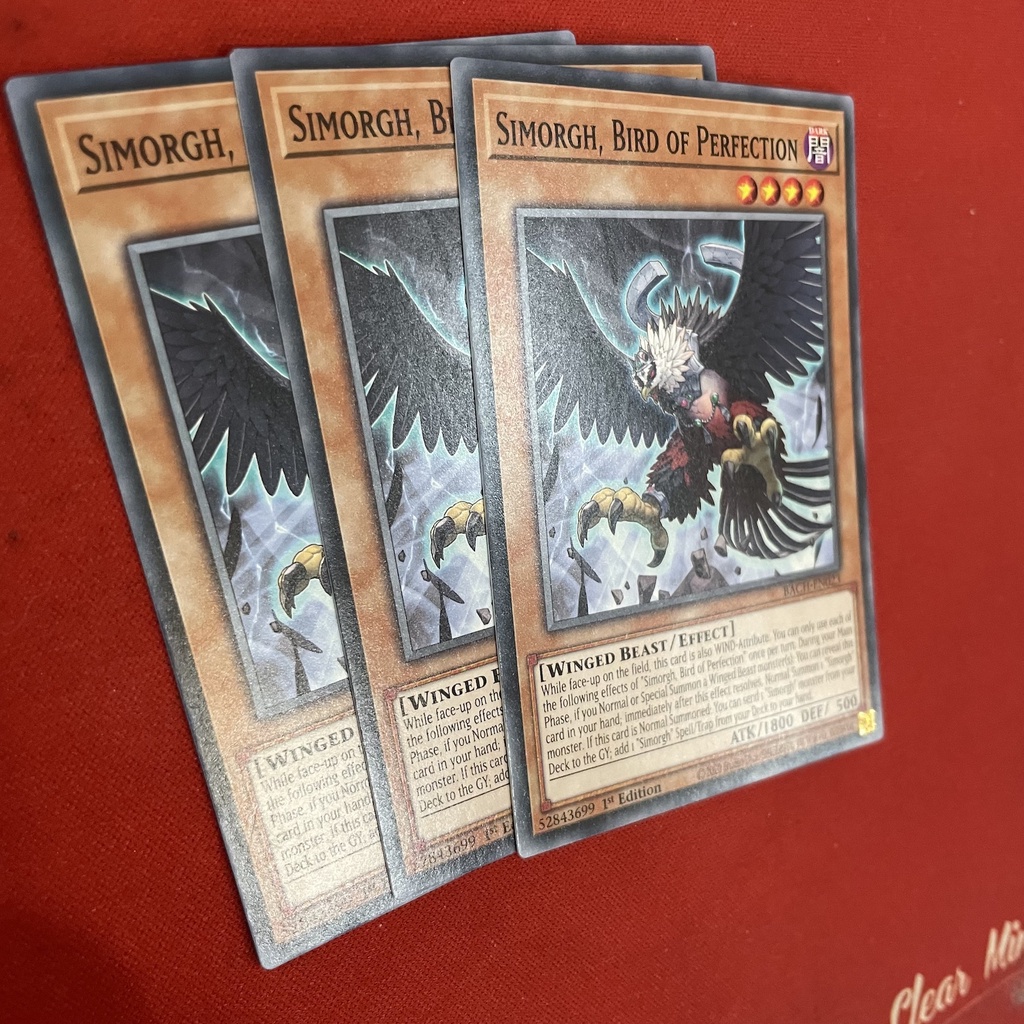 Simorgh, Bird of Perfection