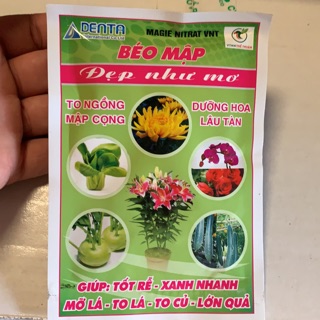 Phân bón lá, to lá, tốt rễ, bông to, mập nụ Denta