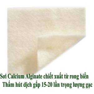 Gạc cầm máu vết thương, hút dịch, hỗ trợ lành thương, các sợi Alginate được chiết xuất từ rong biển  HCA