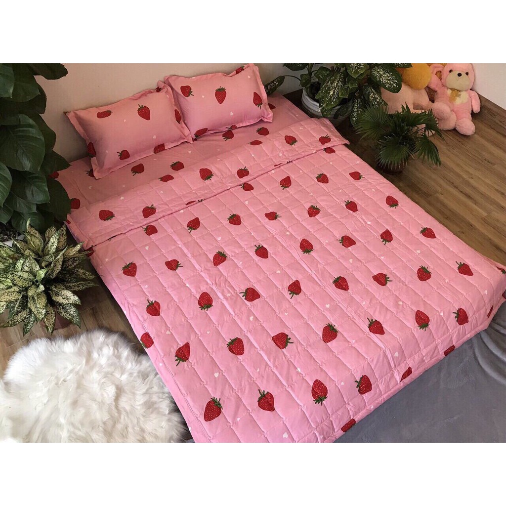 Bộ Ga Gối Poly Cotton dâu tây loại đẹp bo chun đủ kích thước + vỏ gối ôm, chất mềm, không phai, không xù lông.