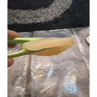 NẤM SCOBY/KOMBUCHA/THỦY SÂM