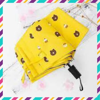 Dù gấp gọn hình gấu brown dễ mang đi