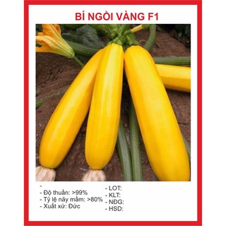 ( bok garden hạt giống bí ngòi vàng 10 hạt