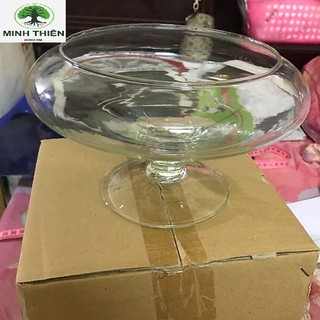 Bể Cá thủy Tinh Hồ Cá Mini Chậu Cây Có Chân