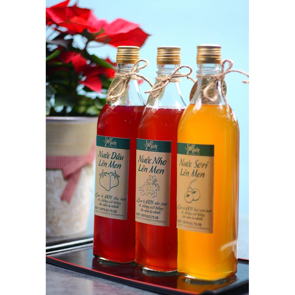 Chai Thủy Tinh VUÔNG 500ML Nắp Nhôm Vặn | BigBuy360 - bigbuy360.vn