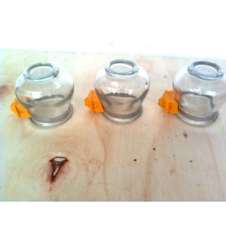 Coóng ăn thủy tinh chim cảnh