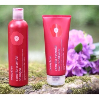Cặp dầu gội,dầu xả Innisfree