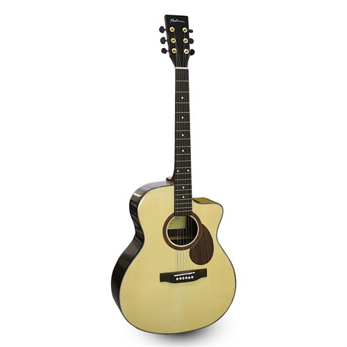 Đàn Guitar Acoustic Poshman N200AC EQ (Chính hãng 100%)
