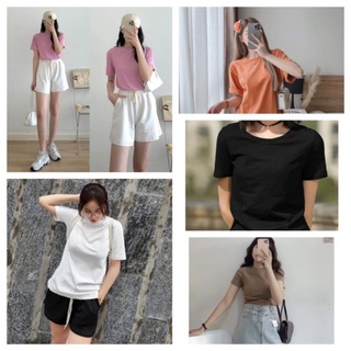 Áo phông nhiều màu đủ size Áo thun trơn nữ cotton mềm mịn