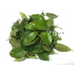 Gói 10 hạt giống lá giang