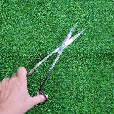 Kéo Cắt Cây Thủy Sinh Cong Hình Chũ S