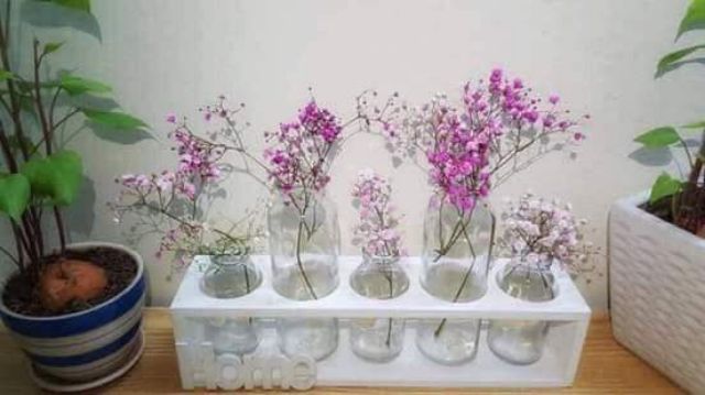 Bộ 5 lọ cắm hoa trồng cây cực nghệ thuật