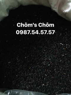 Combo 2,5kg nếp cẩm
