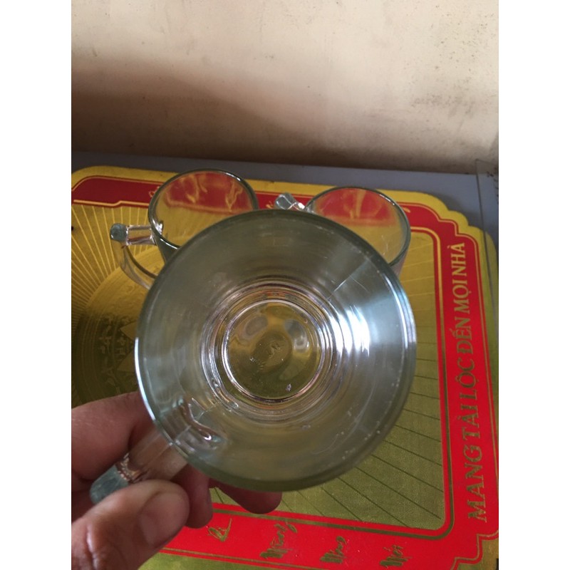 Set 12 Ly Quai Bia Trơn Thuỷ Tinh 100-TVP