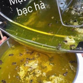 MẬT ONG BẠC HÀ HÀ GIANG