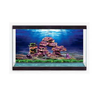 TRANH DECAL DÁN HỒ CÁ 3D_DECAL NÀNG THƠ