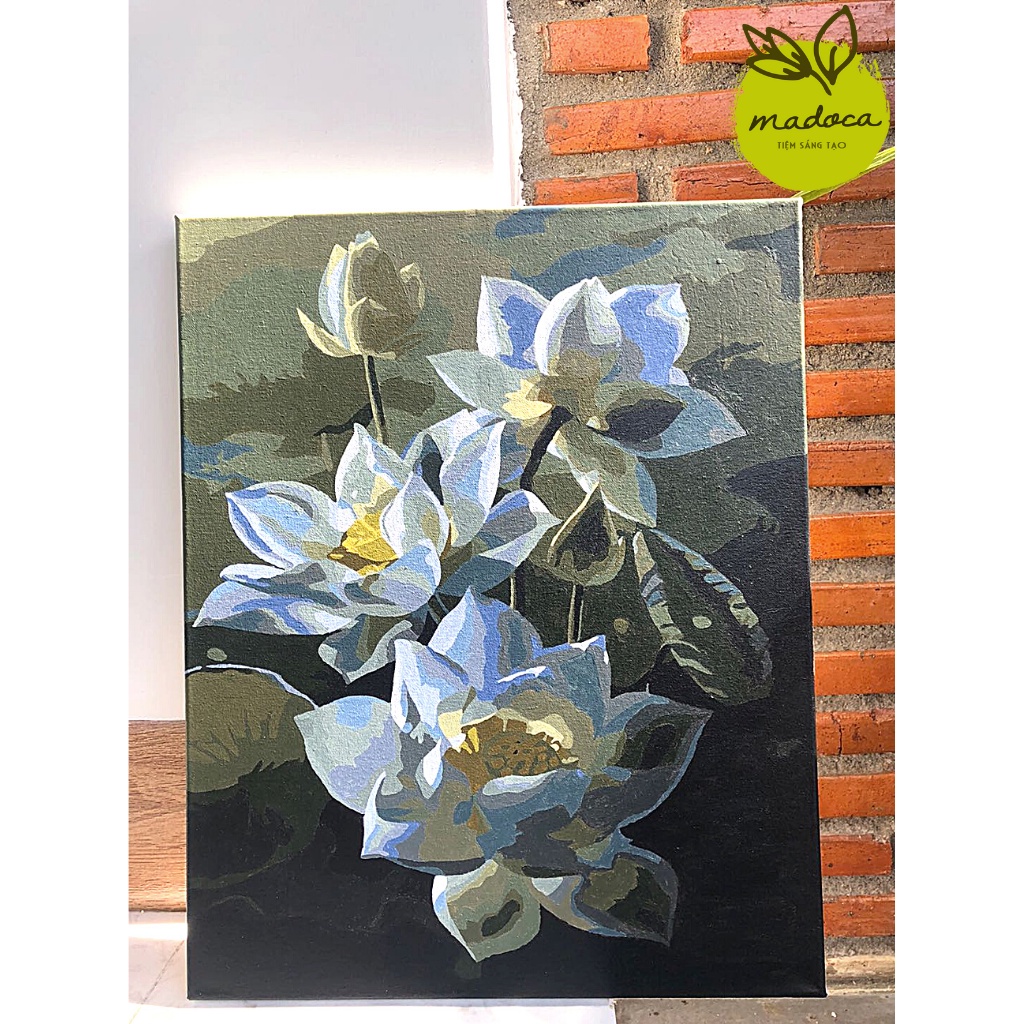 Tranh số hóa tự tô màu Madoca có khung 40x50cm kết hợp T2044 và T2046