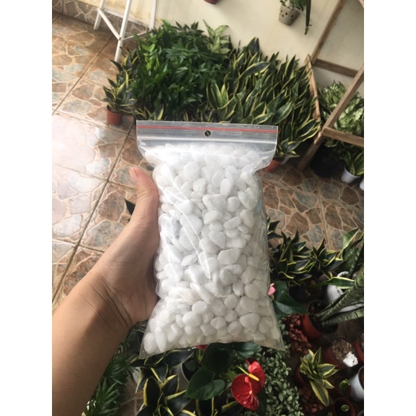 1kg Sỏi trắng trang trí chậu cây, bể cá size 1-2cm