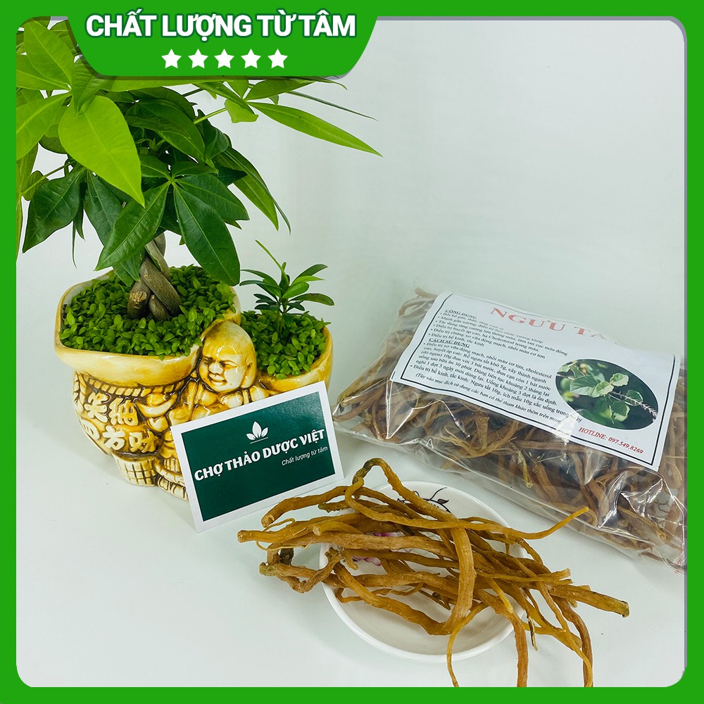 Ngưu tất nam 100g thơm, sạch - Chợ Thảo Dược Việt