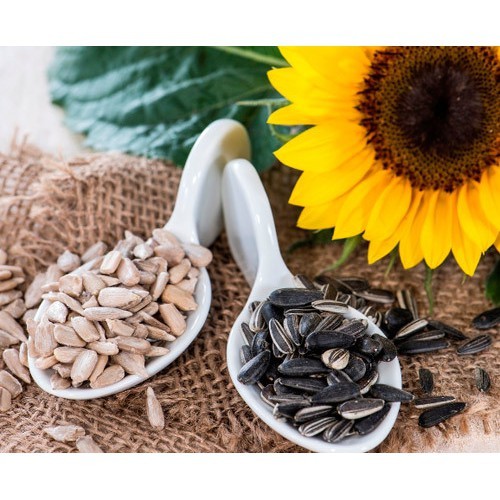 Hướng dương Việt Nhật  tẩm vị thơm ngon, bùi béo và bổ dưỡng- đồ ăn vặt Lodaz Sweet Thái Bình | BigBuy360 - bigbuy360.vn