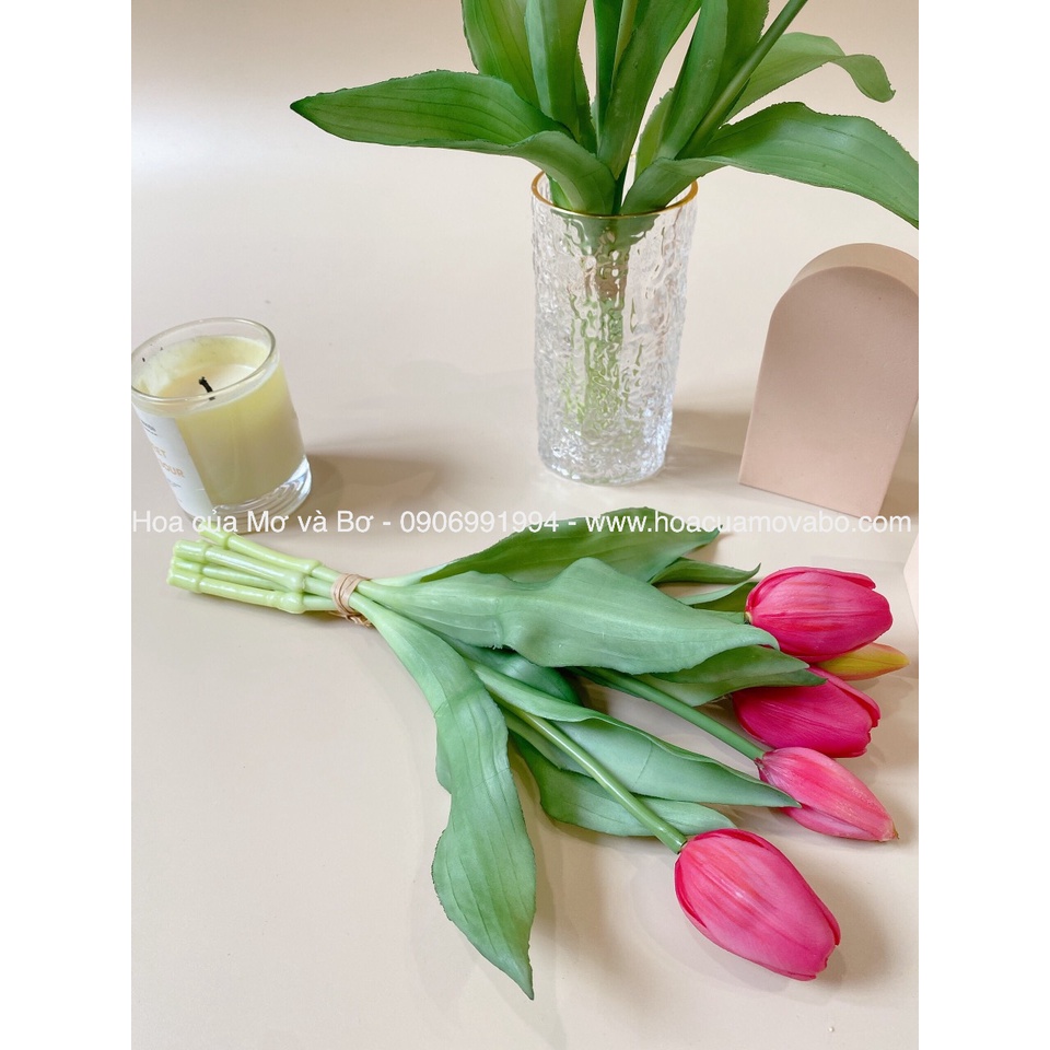 Bó 5 Bông Hoa Tulip Giả Nhiều Màu Cao Cấp Merber (Mơ &amp; Bơ) Bó 3 Bông Hoa 2 Nụ Hoa - Hoa Decor Trang Trí Nhà, P.Khách