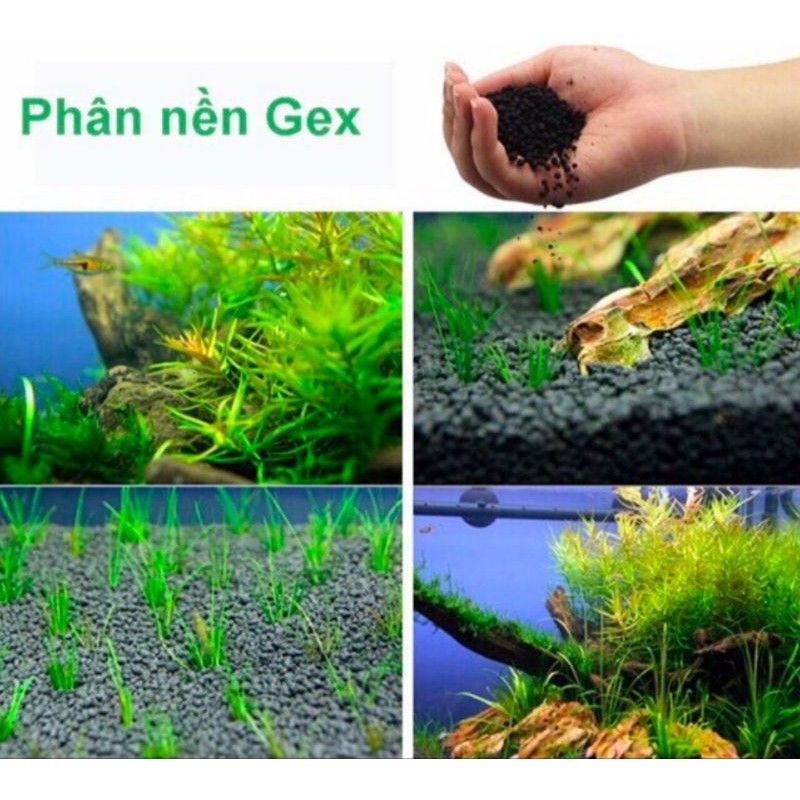 Phân nền Gex xanh trồng cây thủy sinh, bán cạn, tiểu cảnh -Phụ kiện thủy sinh cá tép cảnh