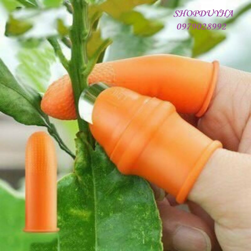 Ngón tay silicon chuyên ngắt , bấm , bóc , cắt , hái  rau củ quả, Dụng cụ hái ra củ quả tiện lợi