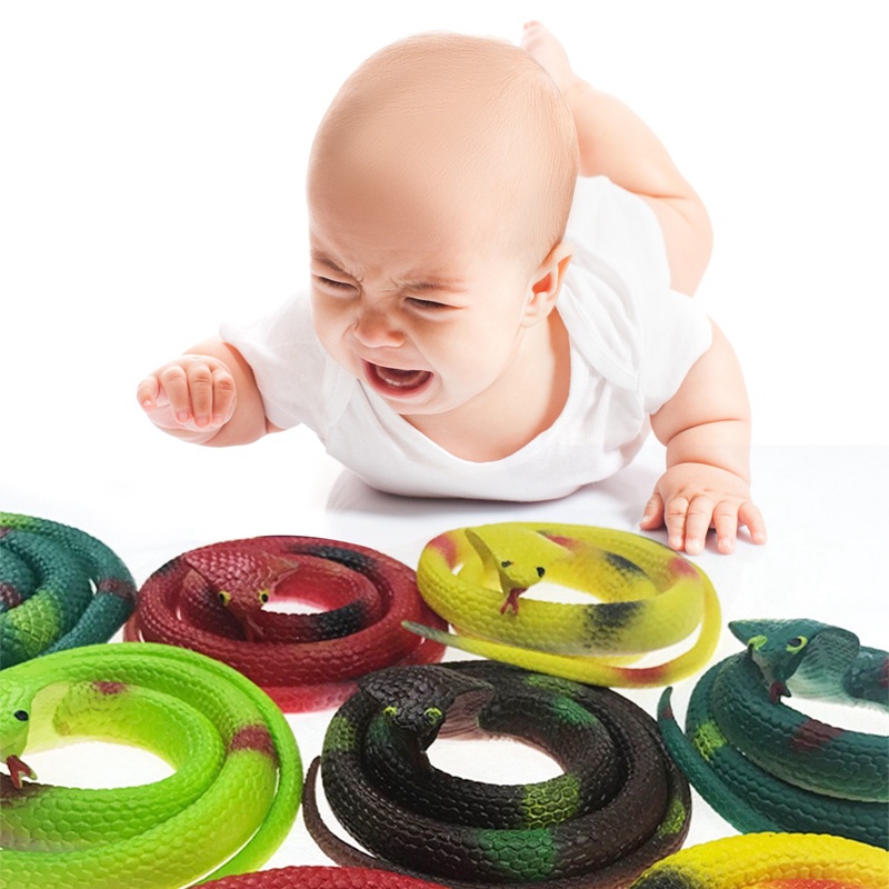 Rắn Nhựa Đồ Chơi Nhiều Màu Trông Giống Thật